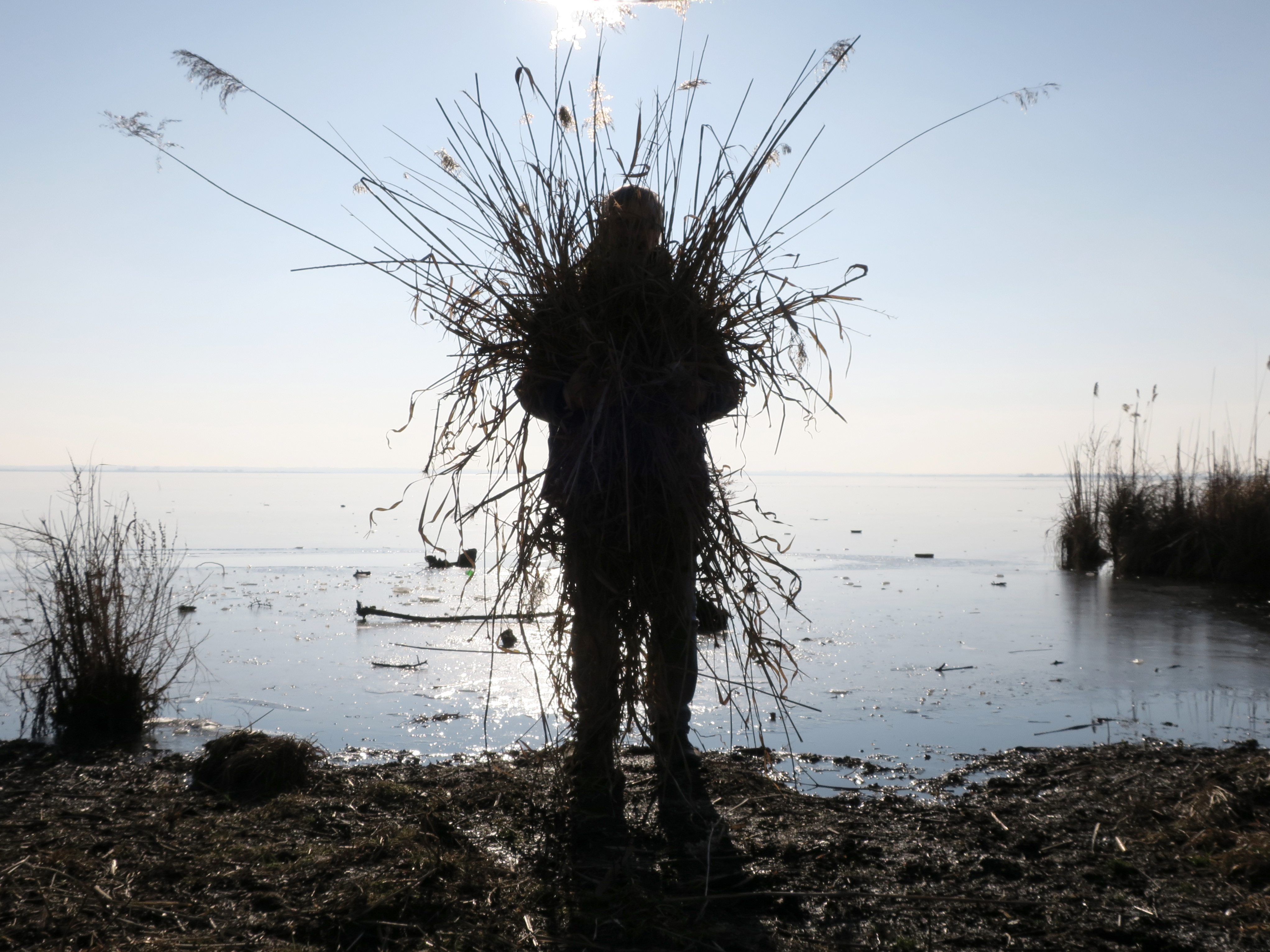 Gilles Bruni, L'homme roseau in Circum-lacustre 2017, photo Arnaud de la Cotte